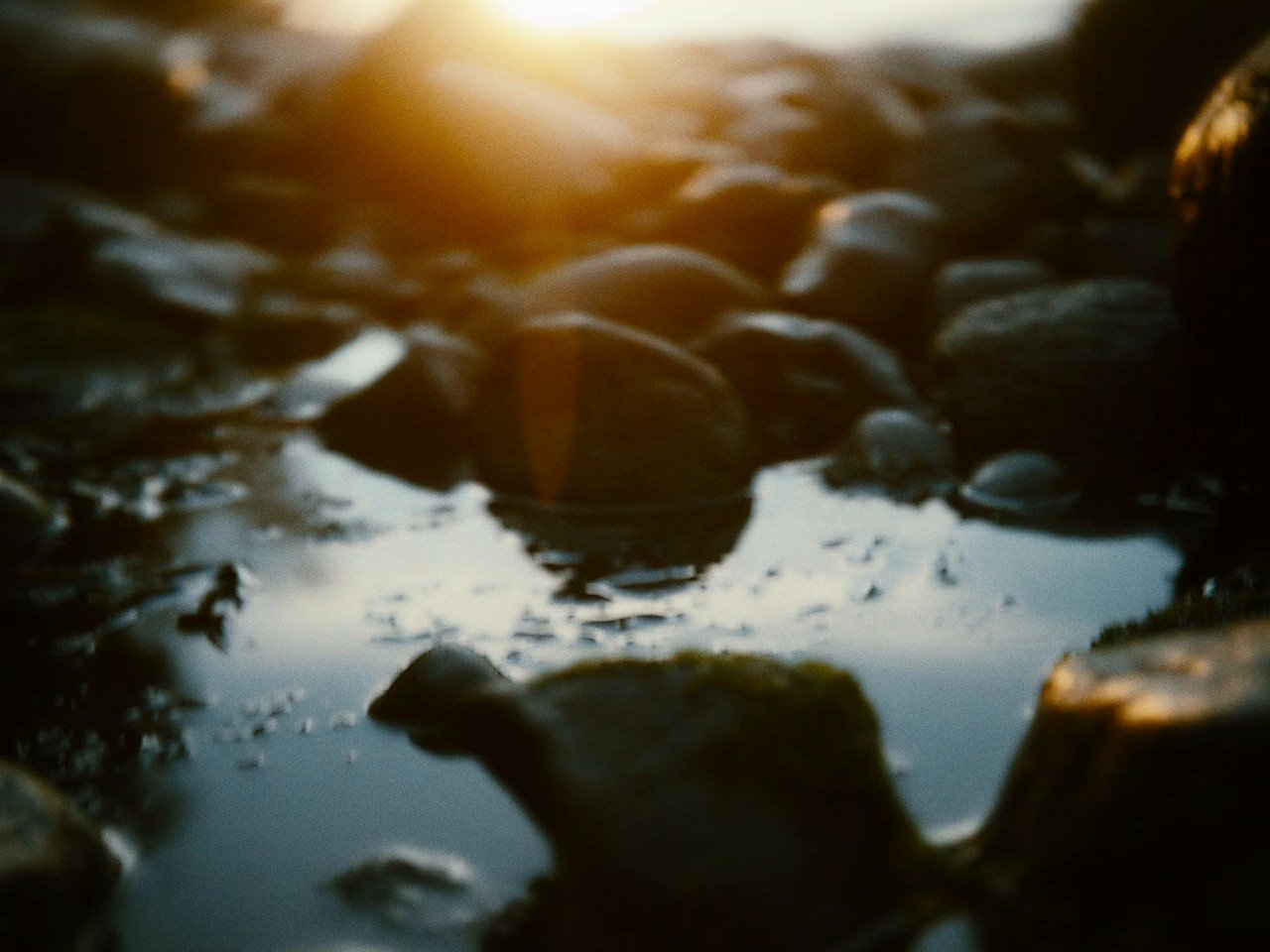Wet stones and a tide pool at sunset, graded with the ZR pipeline